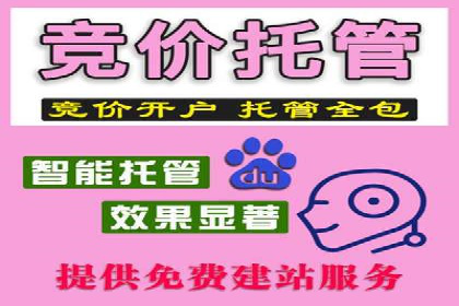 行业领先企业的SEM推广代运营实战经验